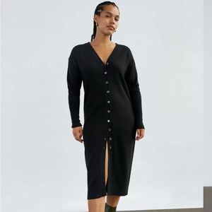 Wilfred Utopia dress